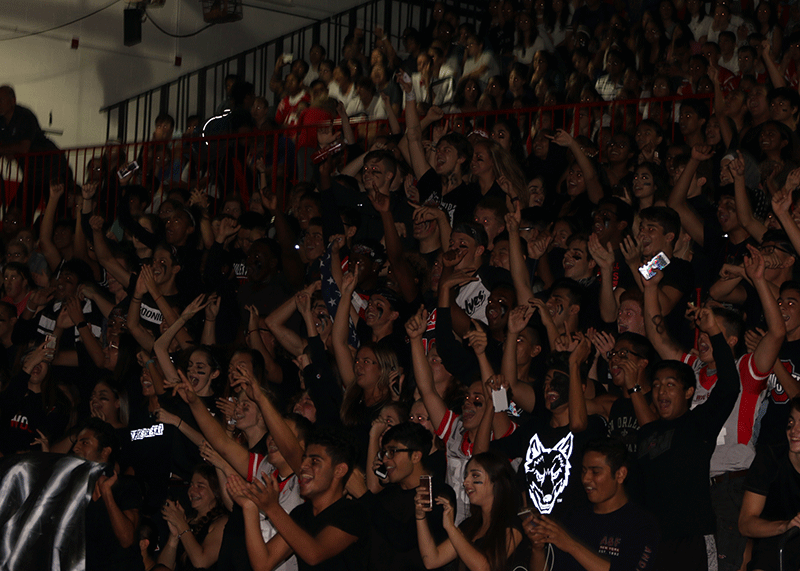 Photo by Sophia George Homecoming Pep Assembly 2016-2017
