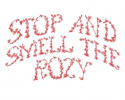 rozy