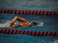 swimming