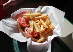 Chicago-Style Hot Dog with Fries
